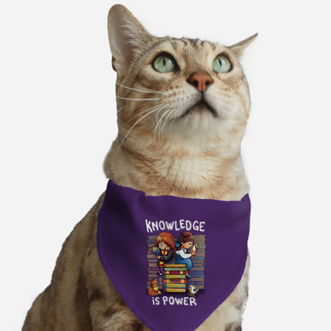 Knowledge Is Power-cat adjustable pet collar-Vallina84
