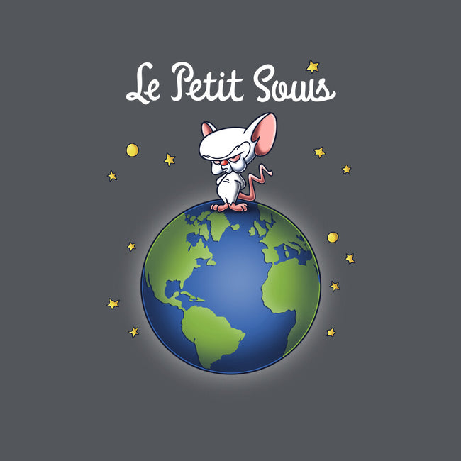 Le Petit Souris-none matte poster-Barbadifuoco