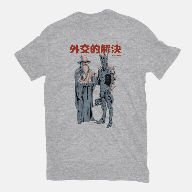 Diplomatic Solution-womens basic tee-Hafaell