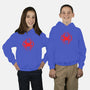 Spiders Journey-youth pullover sweatshirt-fanfreak1