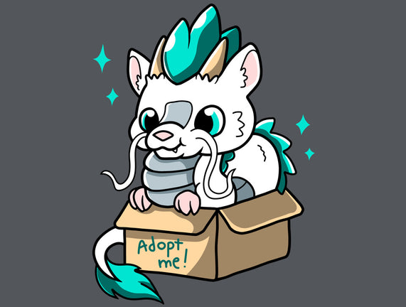 Adopt A Dragon