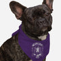 Black Only-dog bandana pet collar-Tronyx79