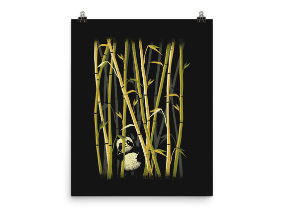 Panda Bamboo Forest