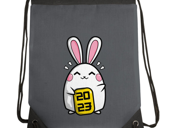 Lucky Bunny 2023