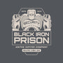 Prison Security Robots-none removable cover w insert throw pillow-Logozaste