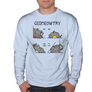 Geomeowtrical