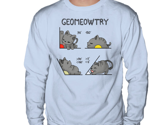 Geomeowtrical
