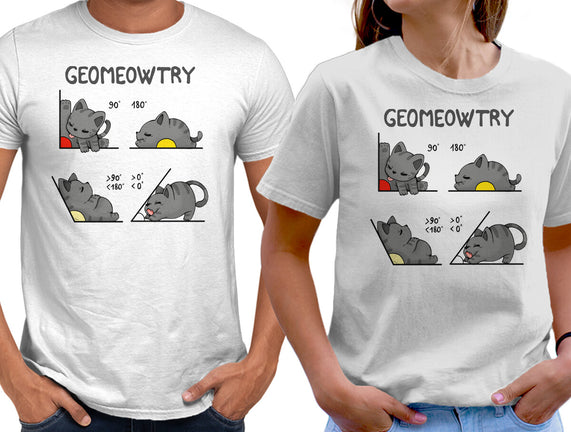 Geomeowtrical