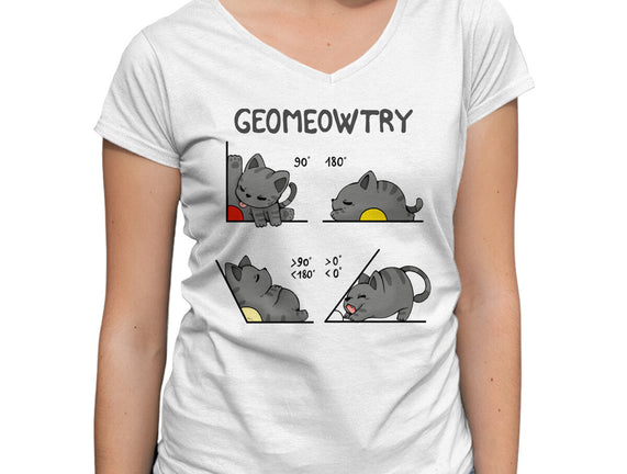 Geomeowtrical