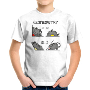 Geomeowtrical