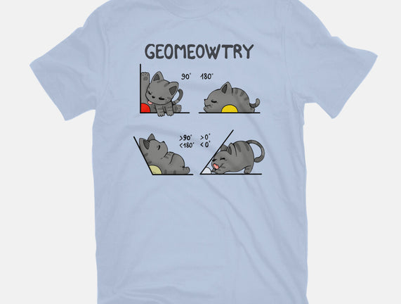 Geomeowtrical