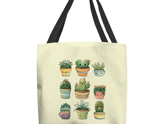 Grass Plant