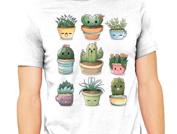 Grass Plant