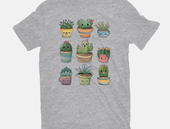 Grass Plant
