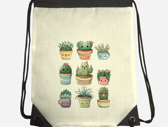 Grass Plant