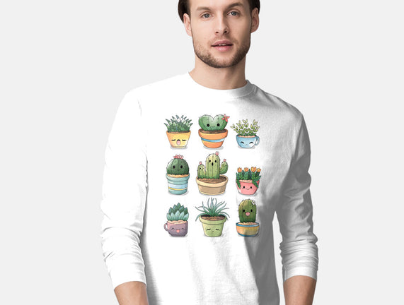 Grass Plant