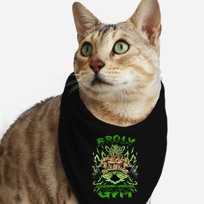 Legendary Gym-cat bandana pet collar-spoilerinc