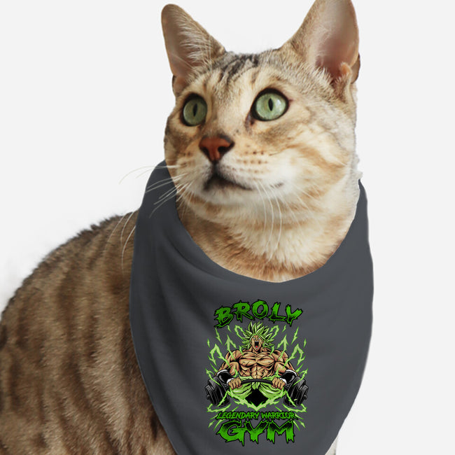 Legendary Gym-cat bandana pet collar-spoilerinc