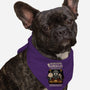Dungeons and Beagles-dog bandana pet collar-jrberger