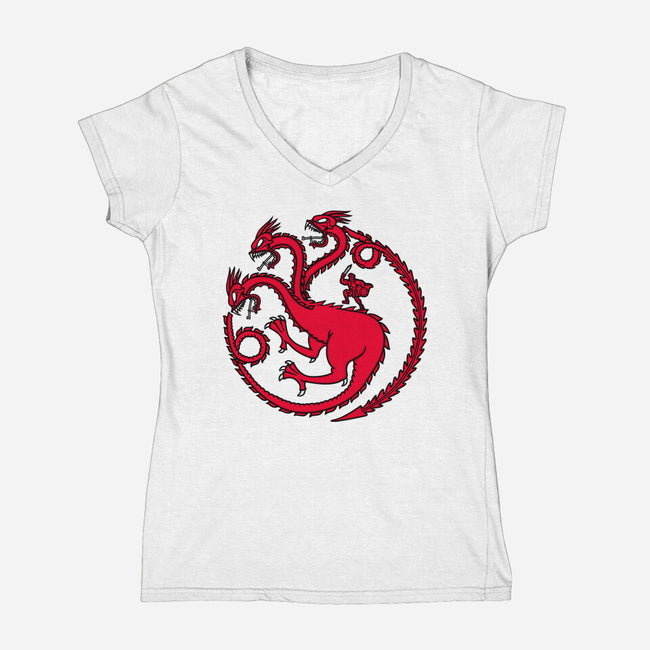Hydraryen-womens v-neck tee-Raffiti