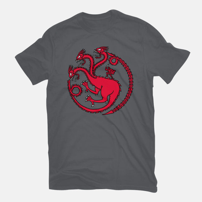 Hydraryen-womens fitted tee-Raffiti