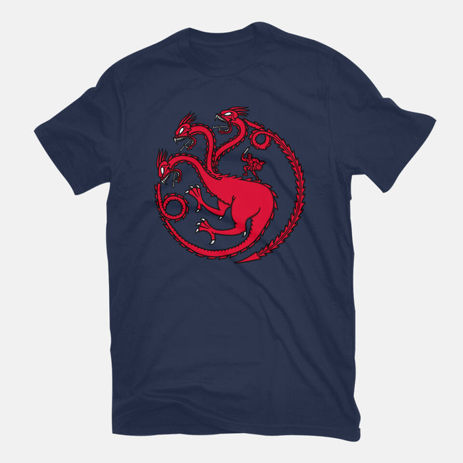 Hydraryen-womens fitted tee-Raffiti