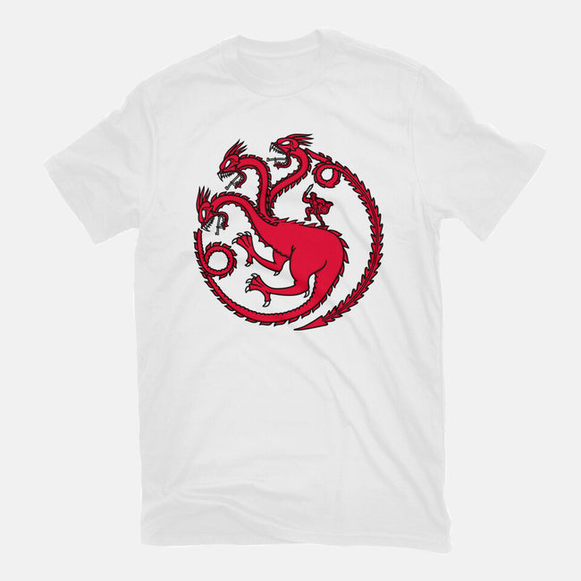 Hydraryen-womens fitted tee-Raffiti