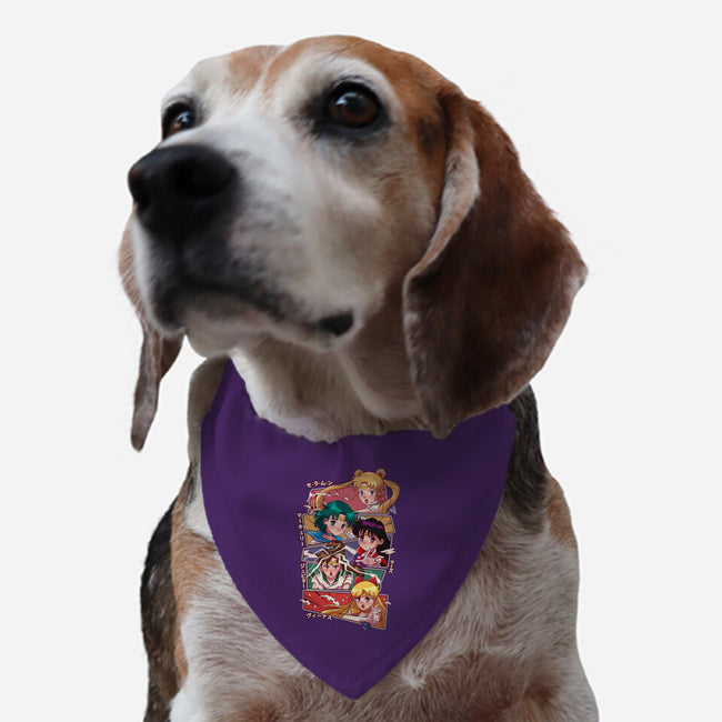 Sailor Group-dog adjustable pet collar-jacnicolauart