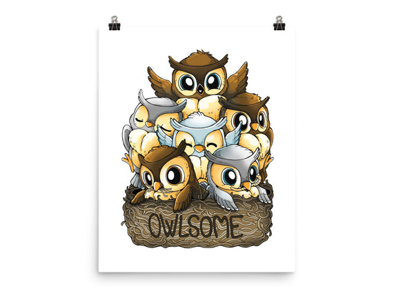 Owlsome