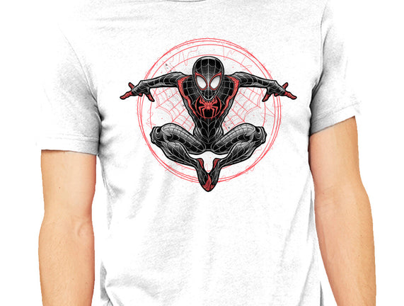 Web Slinging