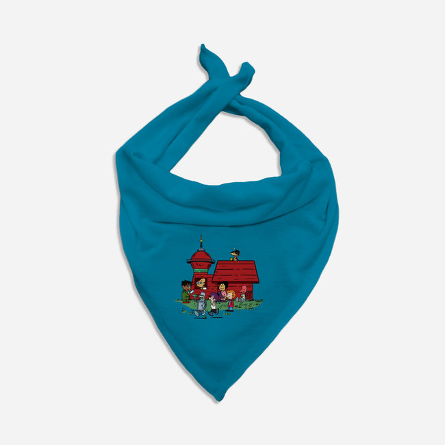 Doghouse Express-dog bandana pet collar-SeamusAran