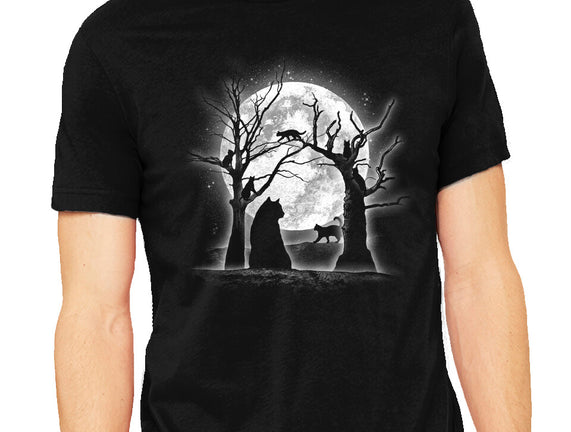 Moonlight Felines
