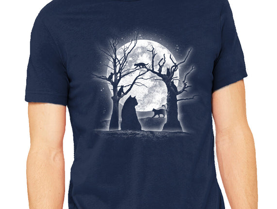 Moonlight Felines