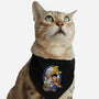 Evolution Of A Pirate-cat adjustable pet collar-Badbone Collections