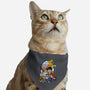 Evolution Of A Pirate-cat adjustable pet collar-Badbone Collections