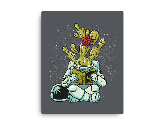 Astronaut Cactus Succulent