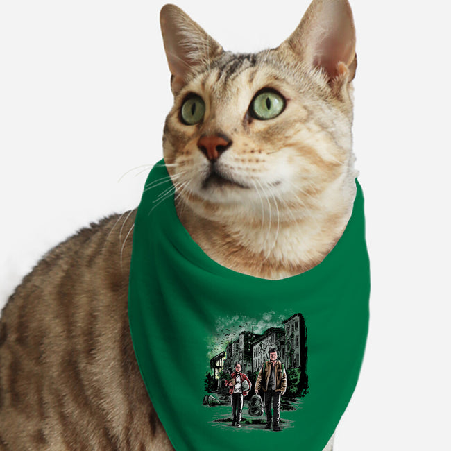 Joel The Professional-cat bandana pet collar-zascanauta