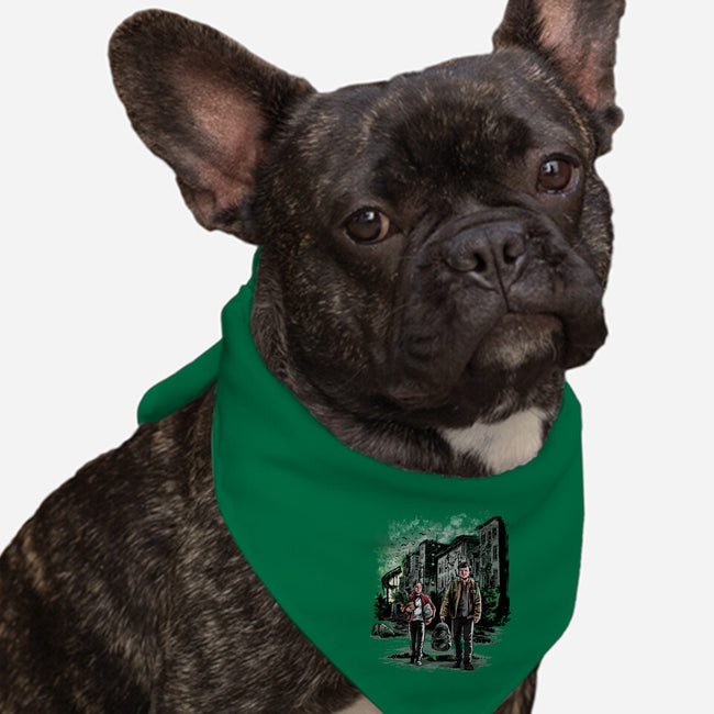 Joel The Professional-dog bandana pet collar-zascanauta