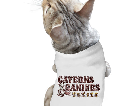 Caverns And Canines