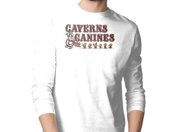 Caverns And Canines