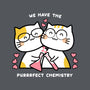 Perfect Chemistry-mens premium tee-bloomgrace28