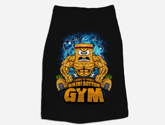 Muscle Square