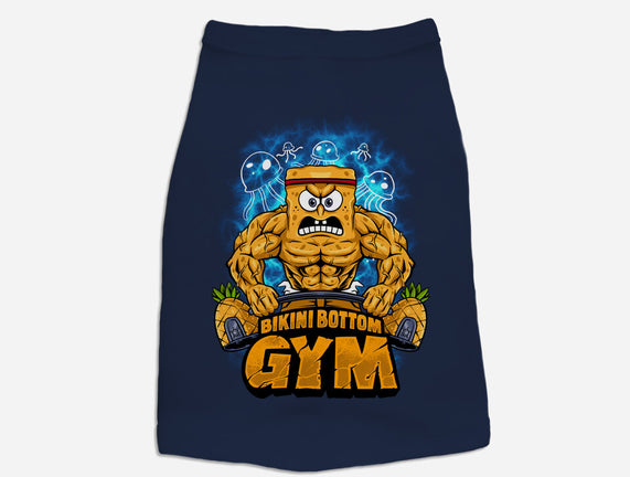 Muscle Square