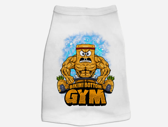Muscle Square