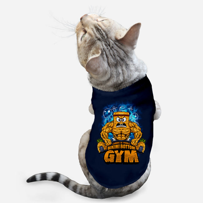 Muscle Square-cat basic pet tank-spoilerinc
