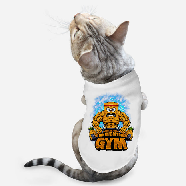 Muscle Square-cat basic pet tank-spoilerinc