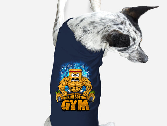 Muscle Square