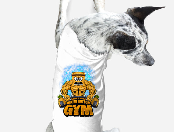Muscle Square