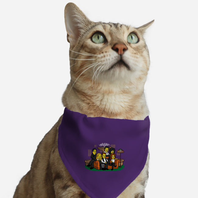 Yellow Friendship-cat adjustable pet collar-Raffiti