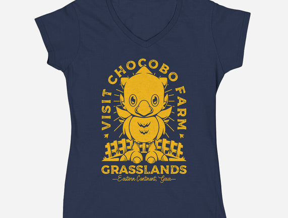 Grasslands Area Farm